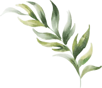 Leaf Image